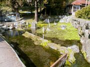 �򐅗N���̎ʐ^3