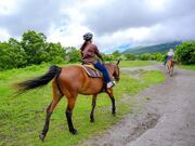 �R�R�y�� �E�G�X�^�� ���C�f�B���O�̎ʐ^2