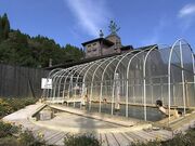 �����l����فi��ۗ��يO���j�̎ʐ^3