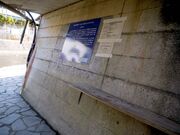 �K�j���̎ʐ^2