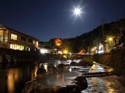 �K�j���̎ʐ^4