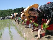 �c�����̎ʐ^2