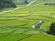 �c�����̎ʐ^3