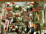 �L�㍂�c�u���a�̒��v�̎ʐ^2