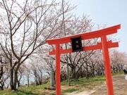 �������[�h�̎ʐ^3