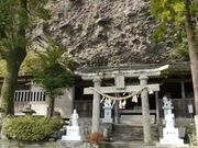 �V�O���̎ʐ^2