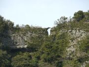 �V�O���̎ʐ^3