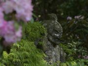 �������̎ʐ^2