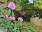 �������̎ʐ^3