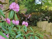 �������̎ʐ^3