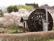 ���̉w�@���΃_���O���[�������h�i�����Ƃ񑺁j�̎ʐ^2