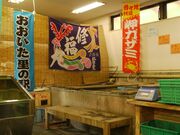 �_�E�C�Y���������T���E�E�G�X�^���̎ʐ^2