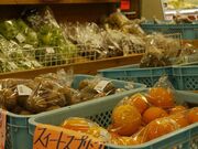 �_�E�C�Y���������T���E�E�G�X�^���̎ʐ^3