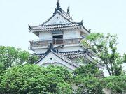 �n�z��̎ʐ^1