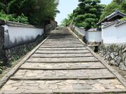 �����̍�̎ʐ^3