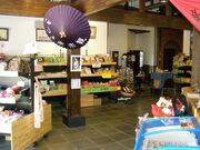 �����O�y�ς̎ʐ^3