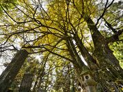 ���ŉ��̑��ǂ̎ʐ^2