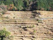 �����I�c�̎ʐ^3