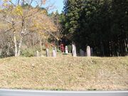 ���c���΂̎ʐ^2