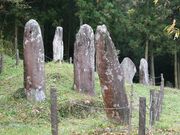 ���c���΂̎ʐ^3