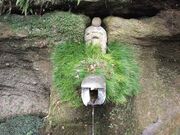 �������̎ʐ^2