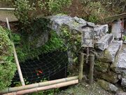 ������腖����̎ʐ^2