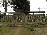 ������ �ܕS�����̎ʐ^2