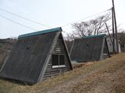 �悩�낤�p�[�N�L�����v��̎ʐ^3