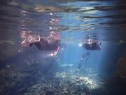 ��ϐ����ߓ����̎ʐ^3