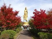 ��ϐ����ߓ����̎ʐ^4