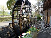 ������H�̎ʐ^2