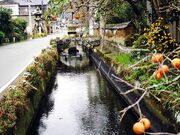 ������H�̎ʐ^3