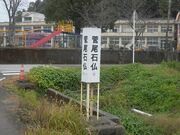 �������R���̎ʐ^3