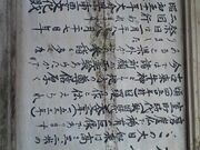 �唗���R���̎ʐ^2