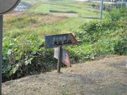 �唗���R���̎ʐ^3