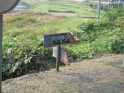 �唗���R���̎ʐ^3