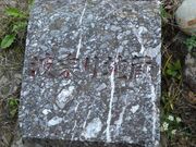 �����`�i�΂̓��j�g���n���̎ʐ^2