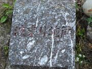 �����`�i�΂̓��j�g���n���̎ʐ^2