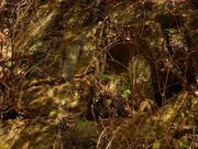 �c�����R���̎ʐ^2