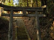 �c�����R���̎ʐ^3