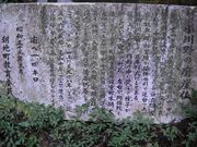 ����얁�R���i�������R���j�̎ʐ^3