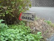 �������R���̎ʐ^3