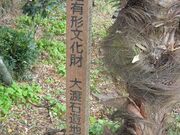 ��n�Α��n����F���̎ʐ^3