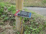 �z�����������R���̎ʐ^3