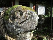 �z�����������R���̎ʐ^2