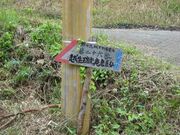 �z�����������R���̎ʐ^3