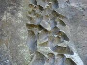 �Z�������̎ʐ^2