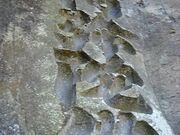 �Z�������̎ʐ^2