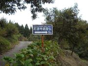 �Ό����Ε��i�������R���j�̎ʐ^3