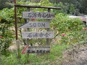 �Ό����Ε��i�������R���j�̎ʐ^2